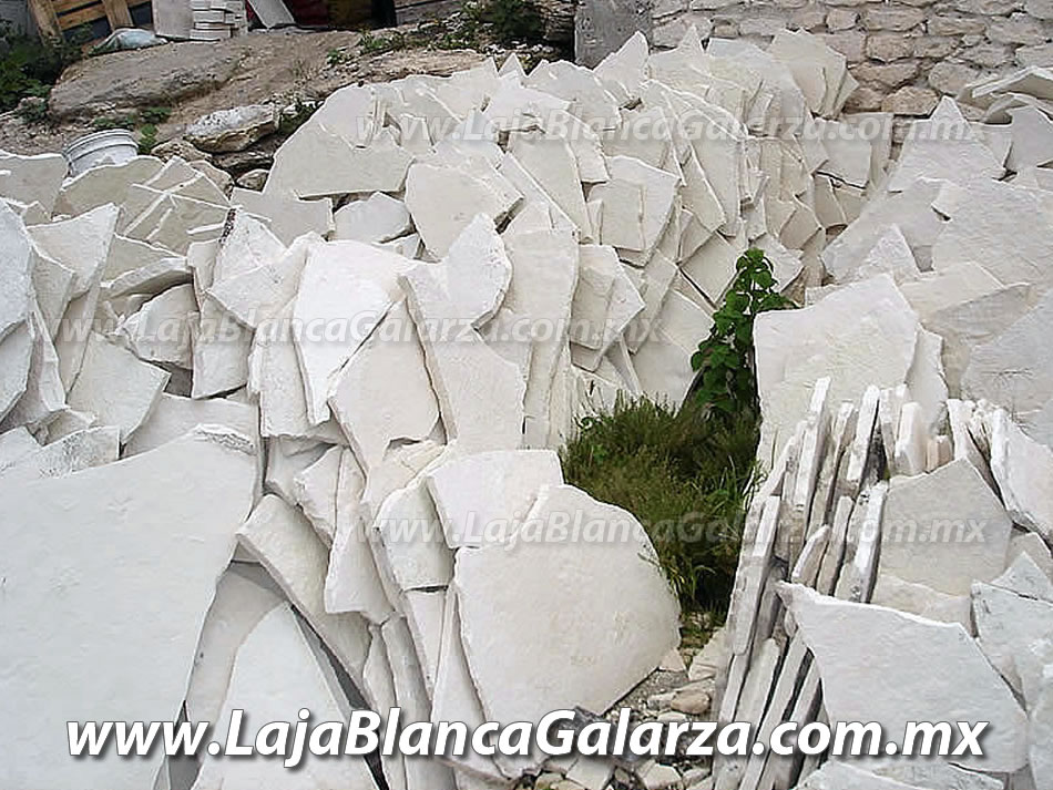 Laja Blanca Galarza de Puebla